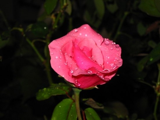 Таня Pozigun | Львов