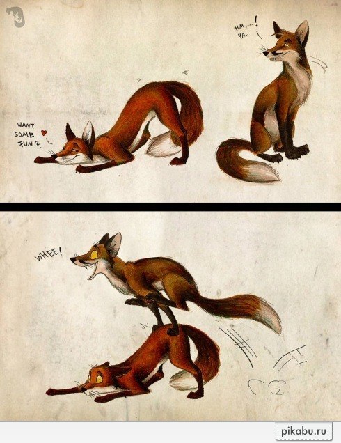 Анна Однороманенко | 