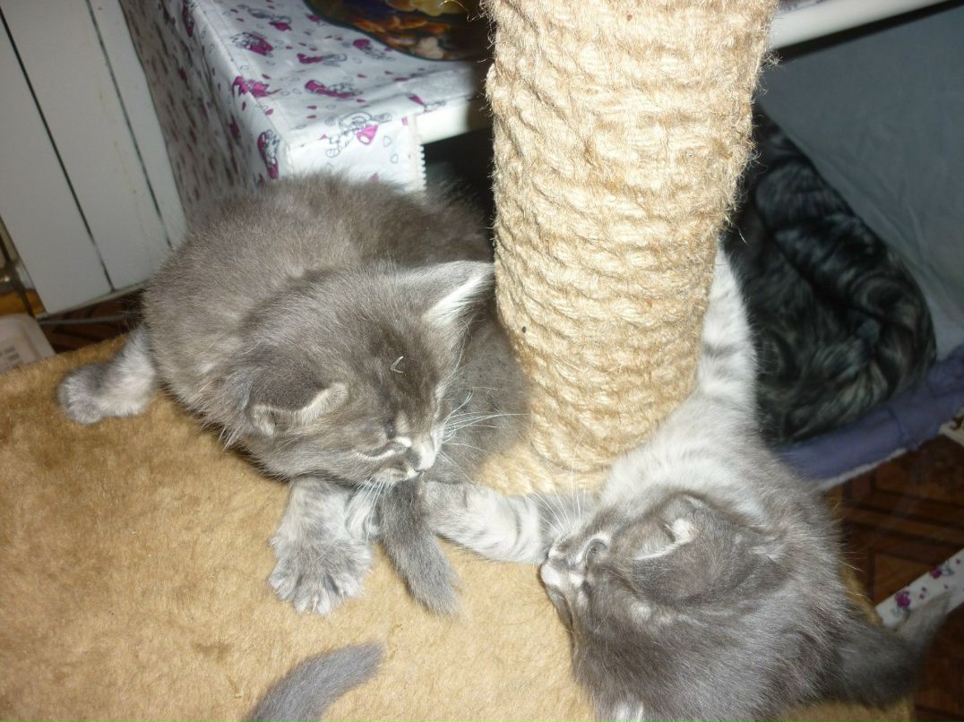 Вера Ивченко | Санкт-Петербург