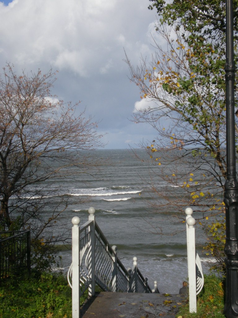 Станислав Васильев | Санкт-Петербург
