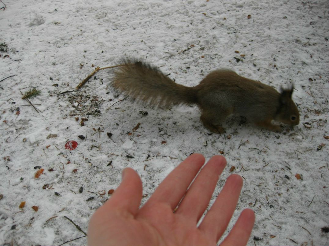 Анна Хардова | Санкт-Петербург
