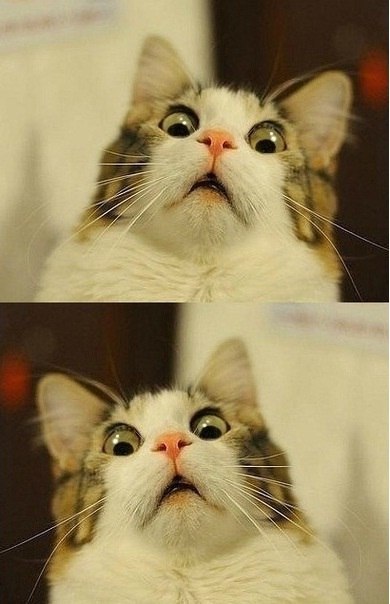 Тёма Ярмак | Москва