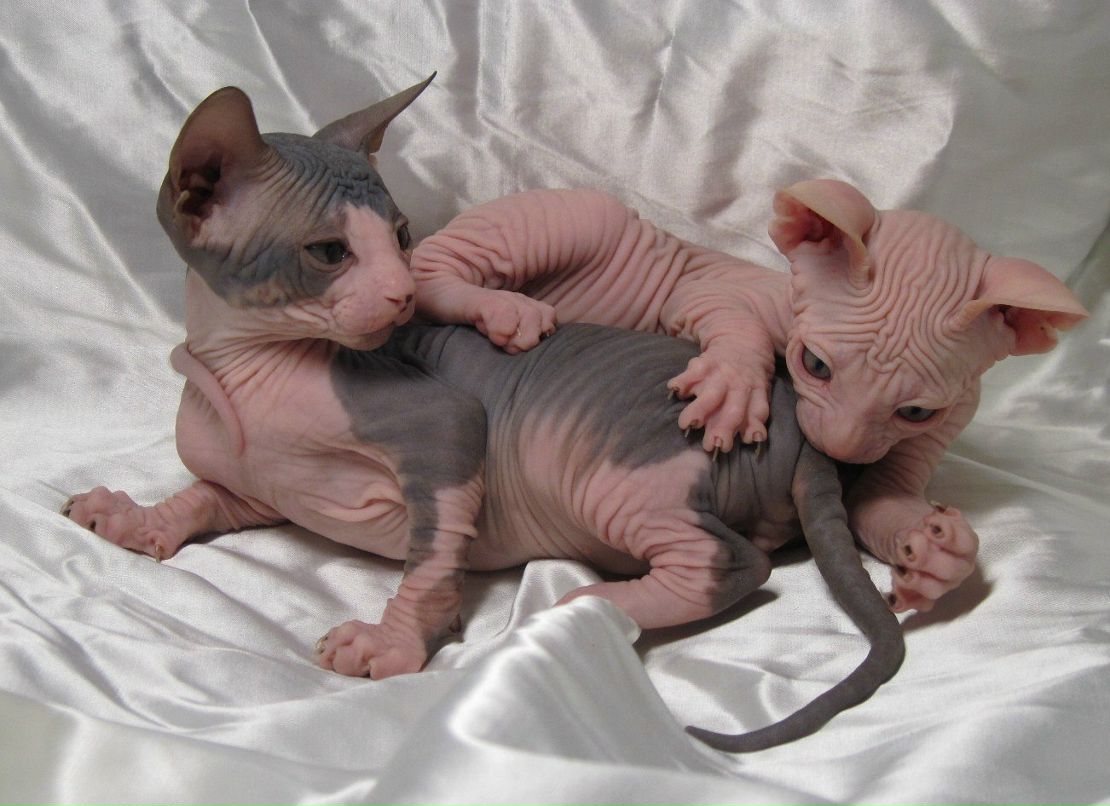 Ольга Михайлова | Санкт-Петербург