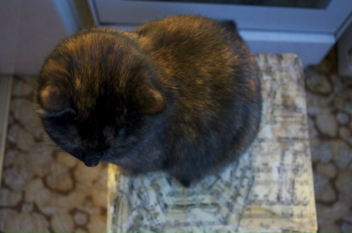 Валентина Михайлова | Санкт-Петербург