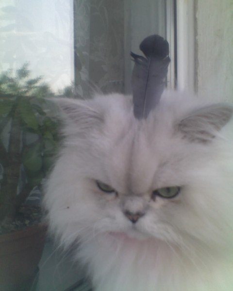 Алёна Важенина Vazhenka | Санкт-Петербург