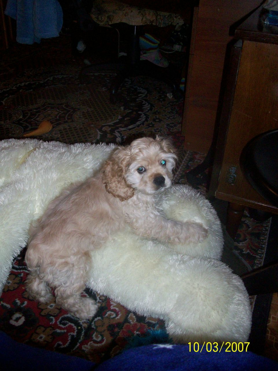 Даша Хамутинина Pandochka | Николаев