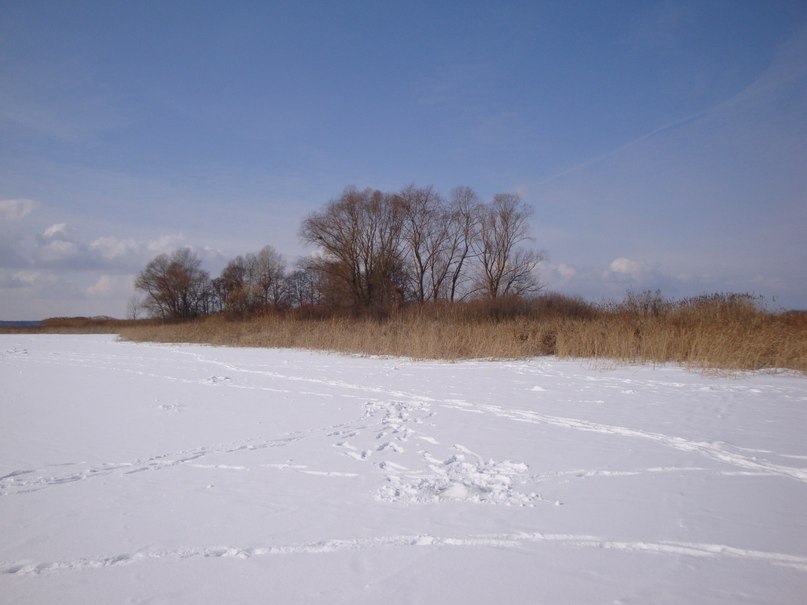 Руслан Каменчук | Киев