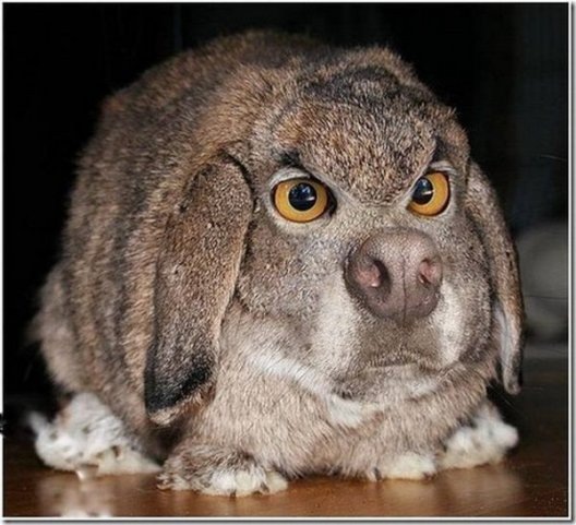 №141, Елена Антонова, 48 лет, Санкт-Петербург, Россия №141, Елена Антонова, 48 лет, Санкт-Петербург, Россия