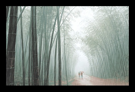 №8, Богдан Слюсар, 40 лет, Одесса №8, Богдан Слюсар, 40 лет, Одесса