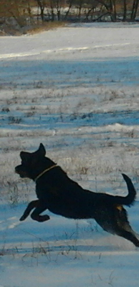 Юля Шагельман | Харьков