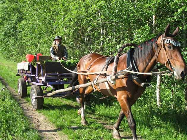 Владимир Ведерников | Санкт-Петербург