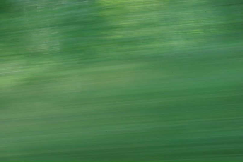 Наташка Алдушина | Новосибирск