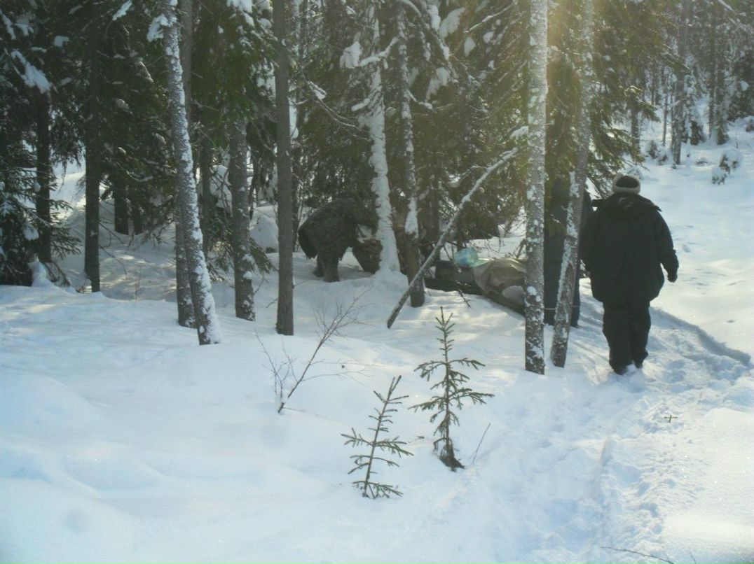 Александр Сафронов | Северодвинск