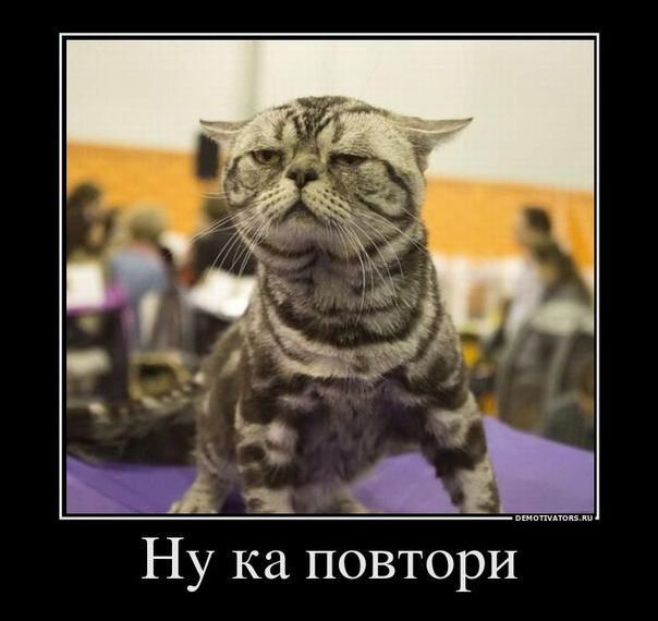 №33, Ростислав Водзинский №33, Ростислав Водзинский