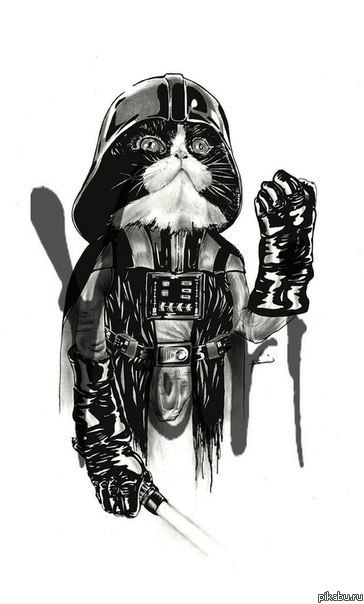 Андрей Полищук | Киев