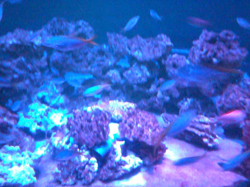 Татьяна Баранова | Санкт-Петербург