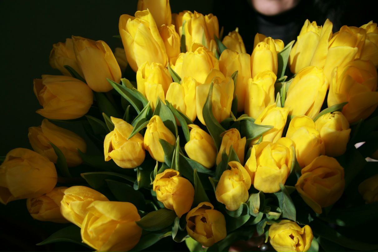 Анна Межерицкая | Санкт-Петербург