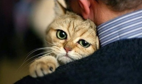 Ольга Кецкина | Санкт-Петербург