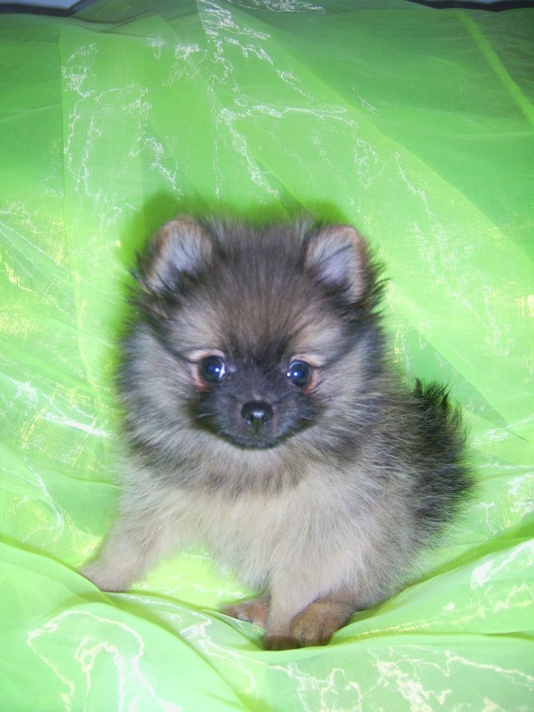 Алиса Парамохина | Москва