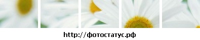 №47, Романа Головчак, Дрогобыч №47, Романа Головчак, Дрогобыч