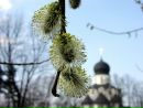 №1 Лариса Маркова 18.08.1987: профиль, фото, статус - ВКонтакте
