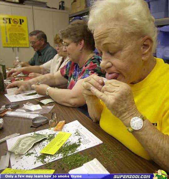 Алексей Мудрецов | Йошкар-Ола