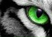 Марина Мельник | Киев