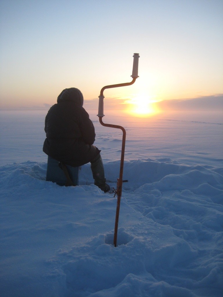 Алексей Матвеев | 