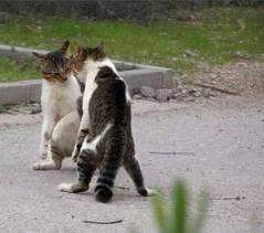 Денис Атанбаев | Уфа