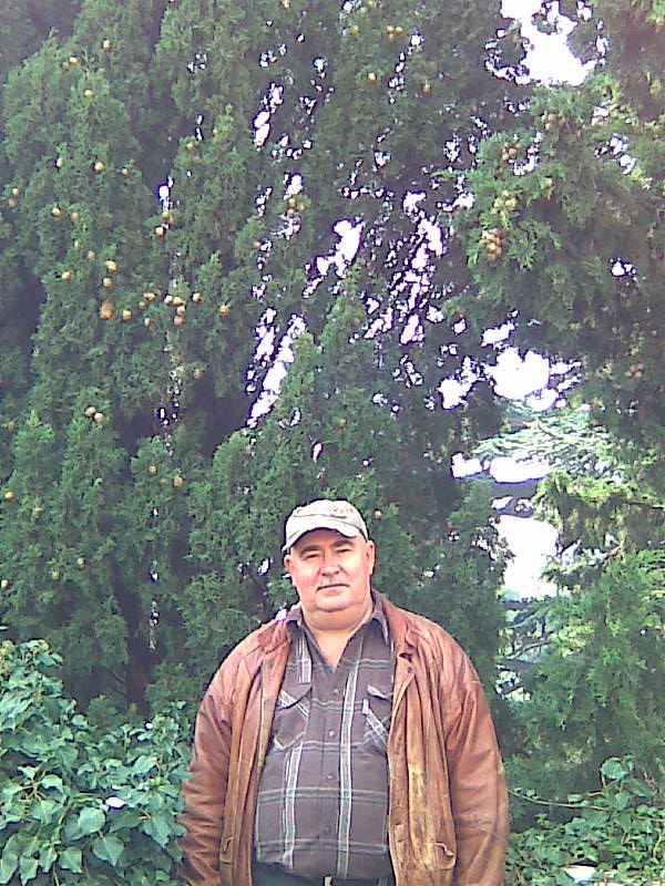 Виктор Меньшов | Керчь