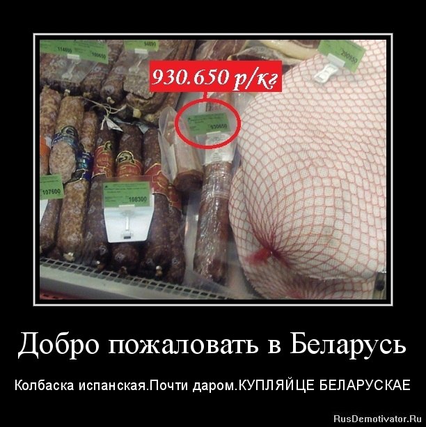 Олег Политыко | Минск