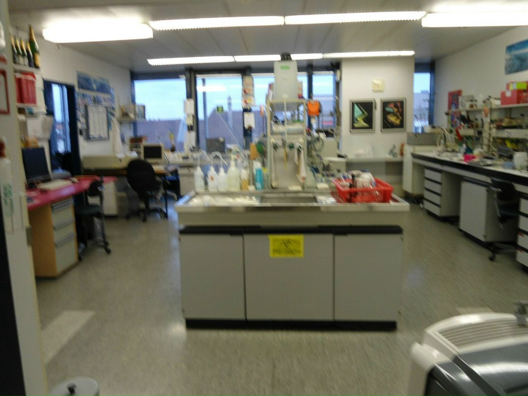 Юлия Гонских | Bern