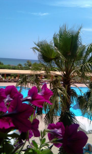 №36, Ирина Егорова, Санкт-Петербург №36, Ирина Егорова, Санкт-Петербург