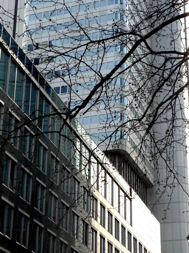 Дубова Полина | Санкт-Петербург