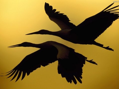 Андрей Зудинов | Херсон