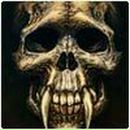 Иван Иванов | San Francisco de Ojuera