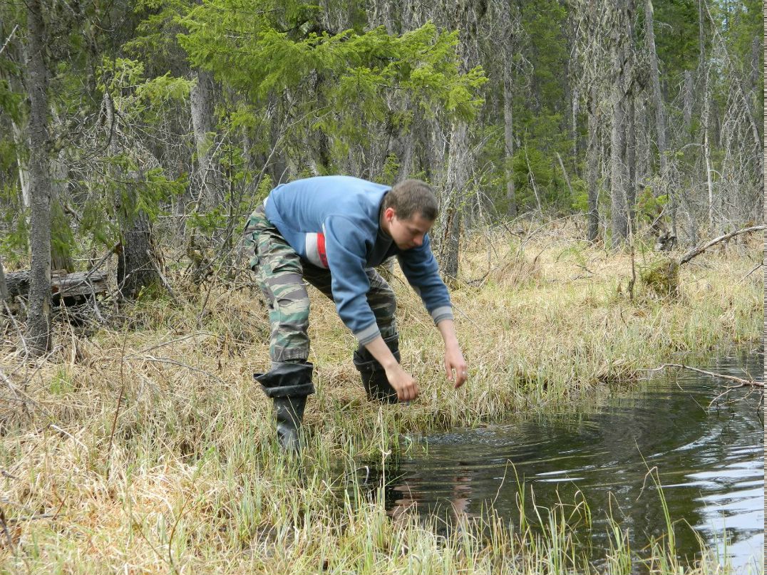 Виктор Кудрявцев | Якша