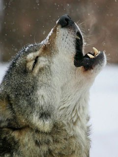 Евгений Бессарабов | Санкт-Петербург