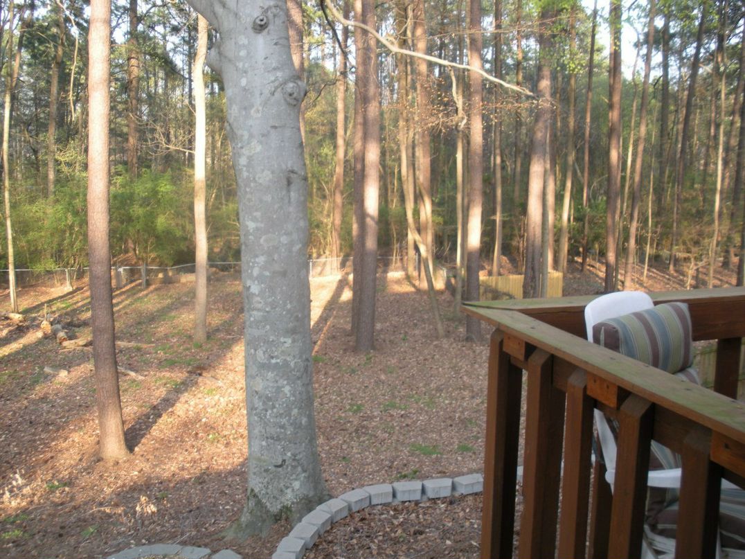 Джон Холстейн | Atlanta