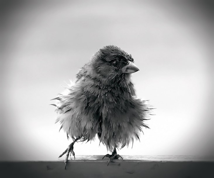 Сергей Бережнов | Одесса