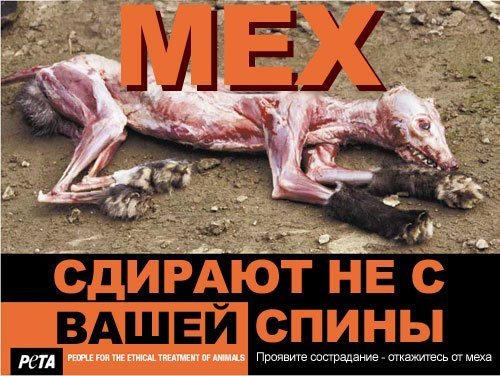 Ηадежда Γущина фото со стены #1