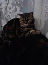 Фотография Прохор Мартинович
