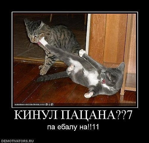 Димка Четин | Пермь