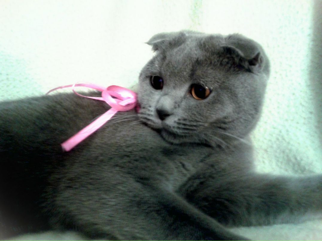 Елена Дорофеева | Петрозаводск