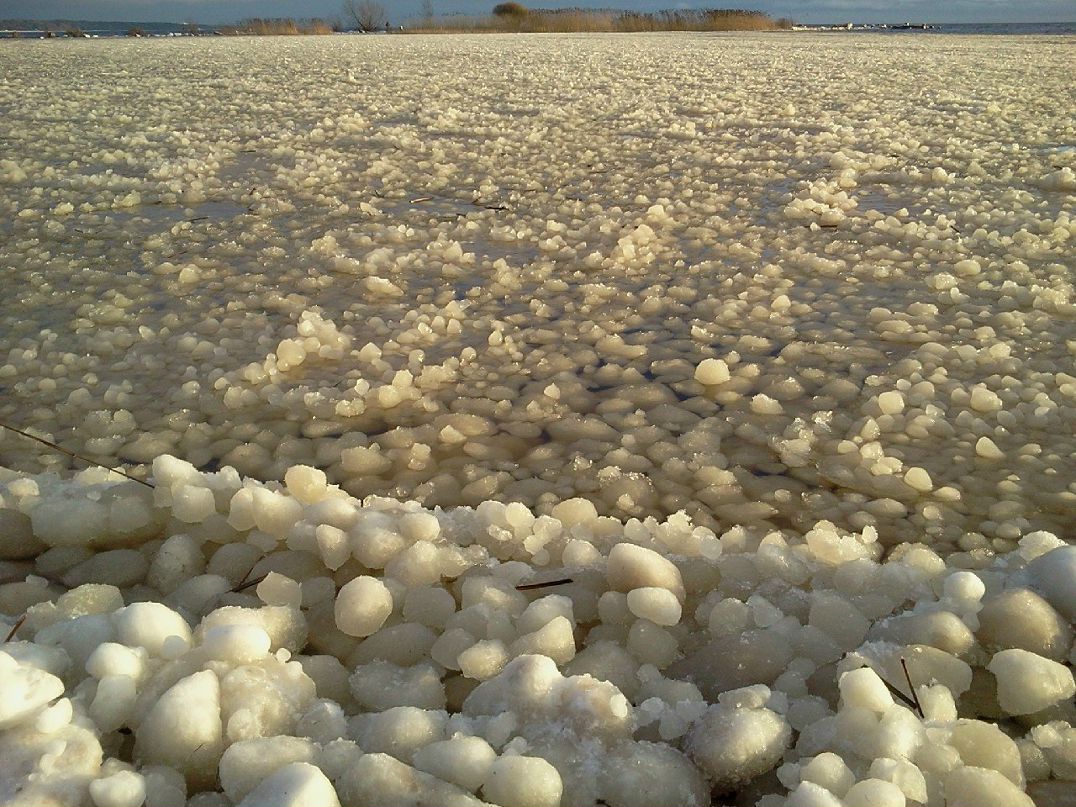 Алексей Савельев | Санкт-Петербург