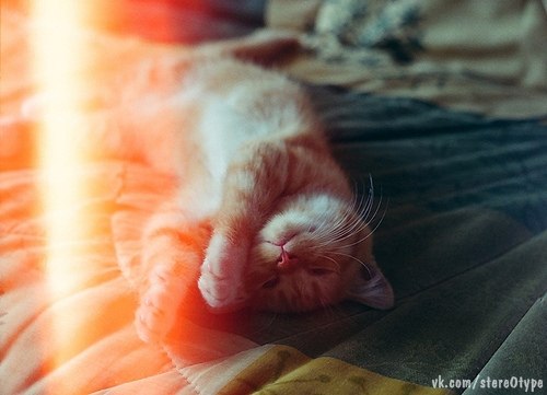 Наталья Кряквина | Санкт-Петербург