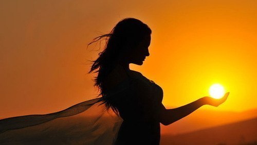 Desert Rose | Москва