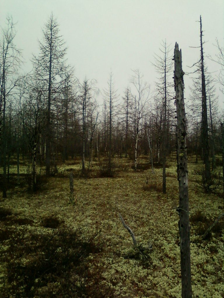 Виктор Ишунин | Великие Луки