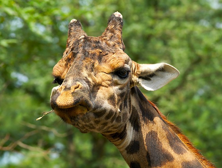 Екатерина Литвинова | 