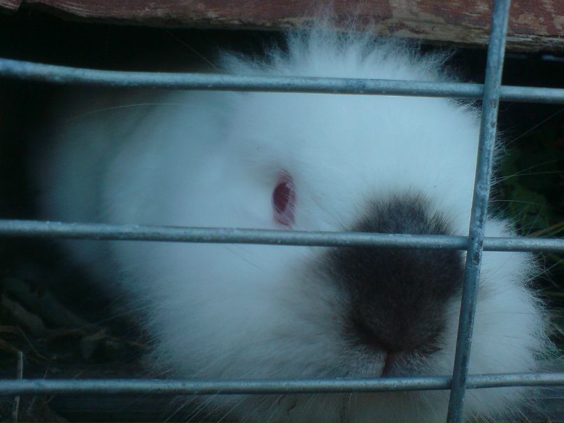 Олег Illussion | Черкассы